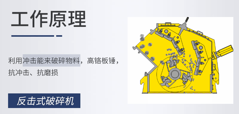 202311161700125641126530.gif 1.gif