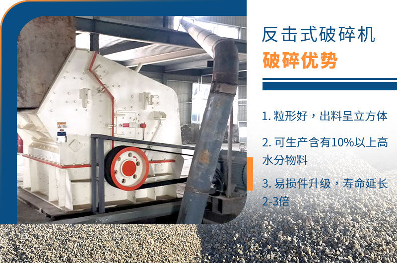 202311161700125750864938.jpg 1.jpg